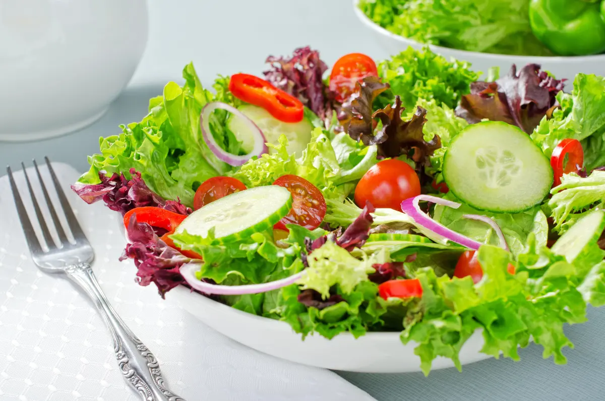 essig_salat_gemischt_klassisch_blattsalate_gurke_zwiebel_tomate