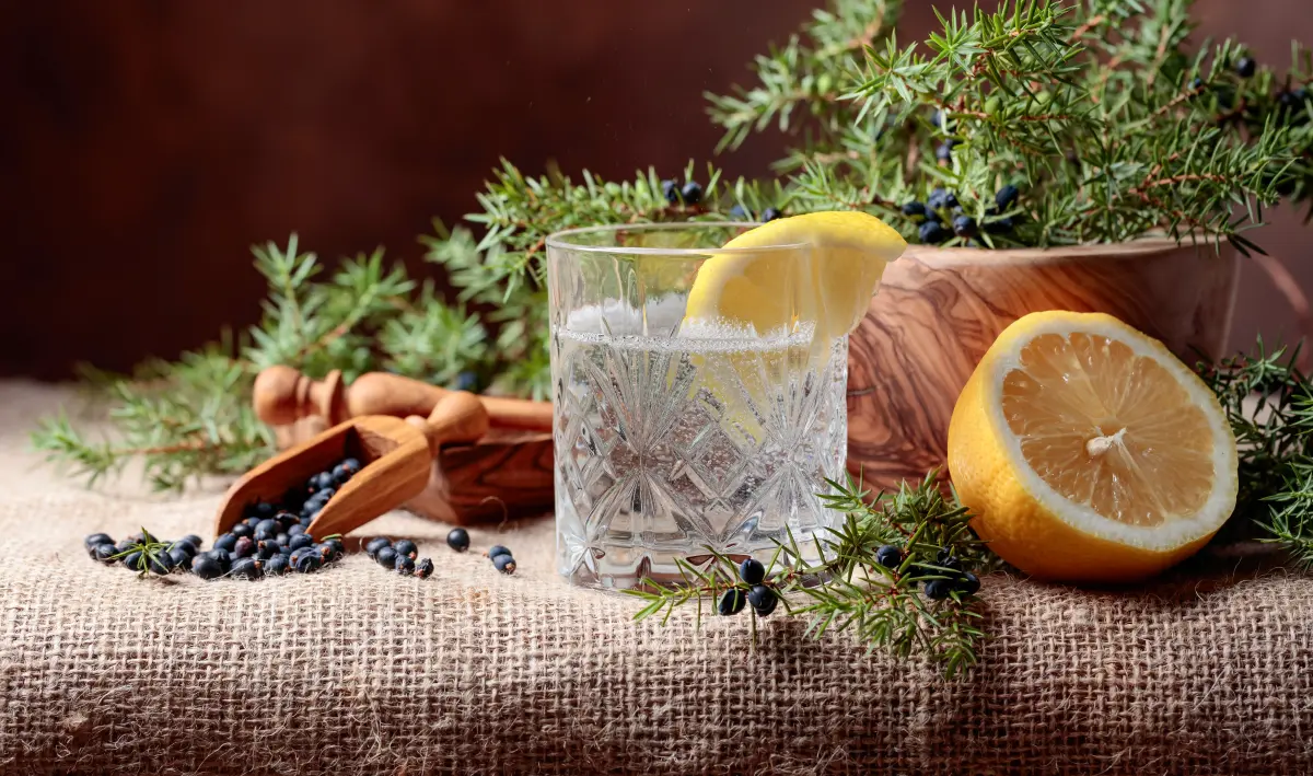 wacholder_gin_tonic_zitrone_zweig