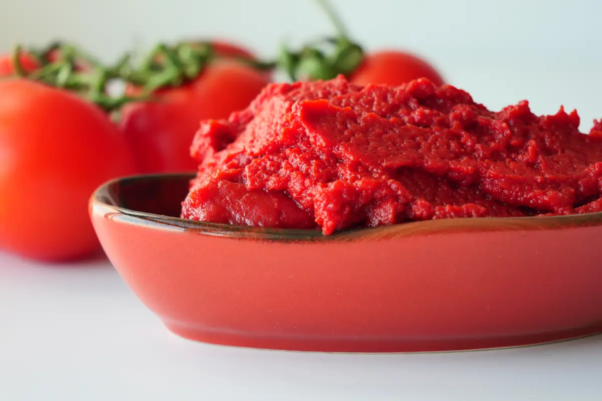 tomatenmark_schuessel_oval_fleischtomaten