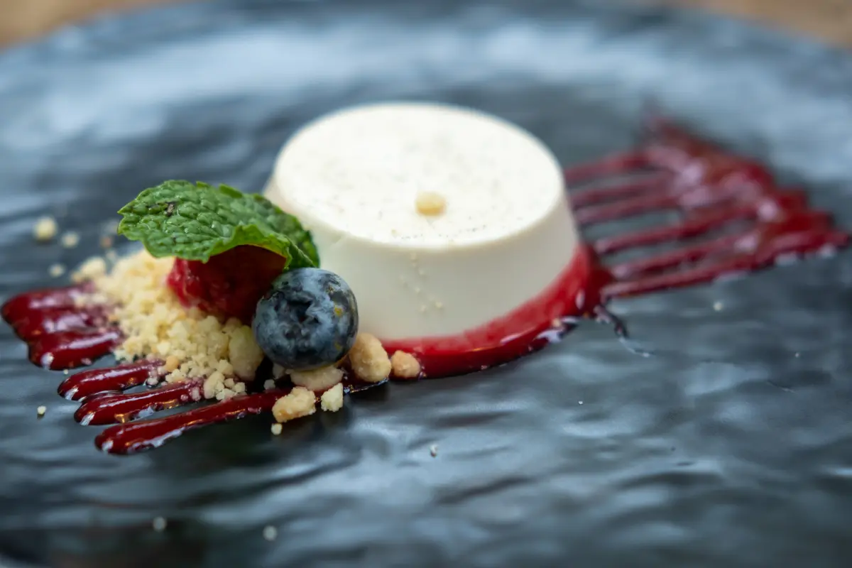 panna_cotta_teller_beerensauce_beeren_minze