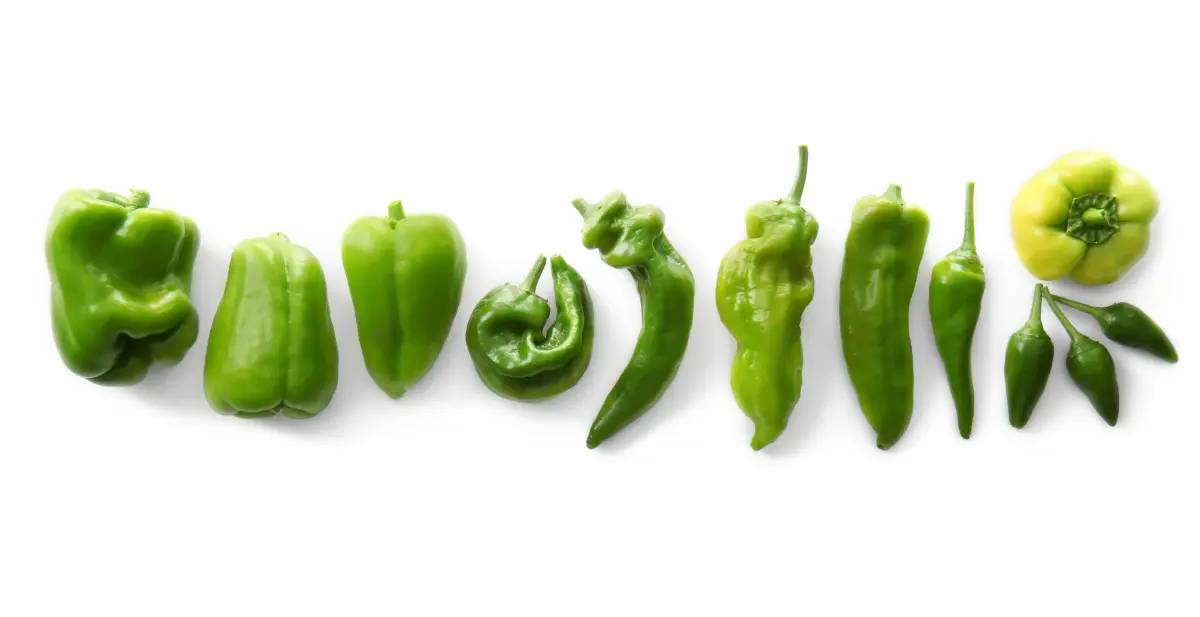 gruene_Pfefferschoten_Paprika_uebersicht_auswahl