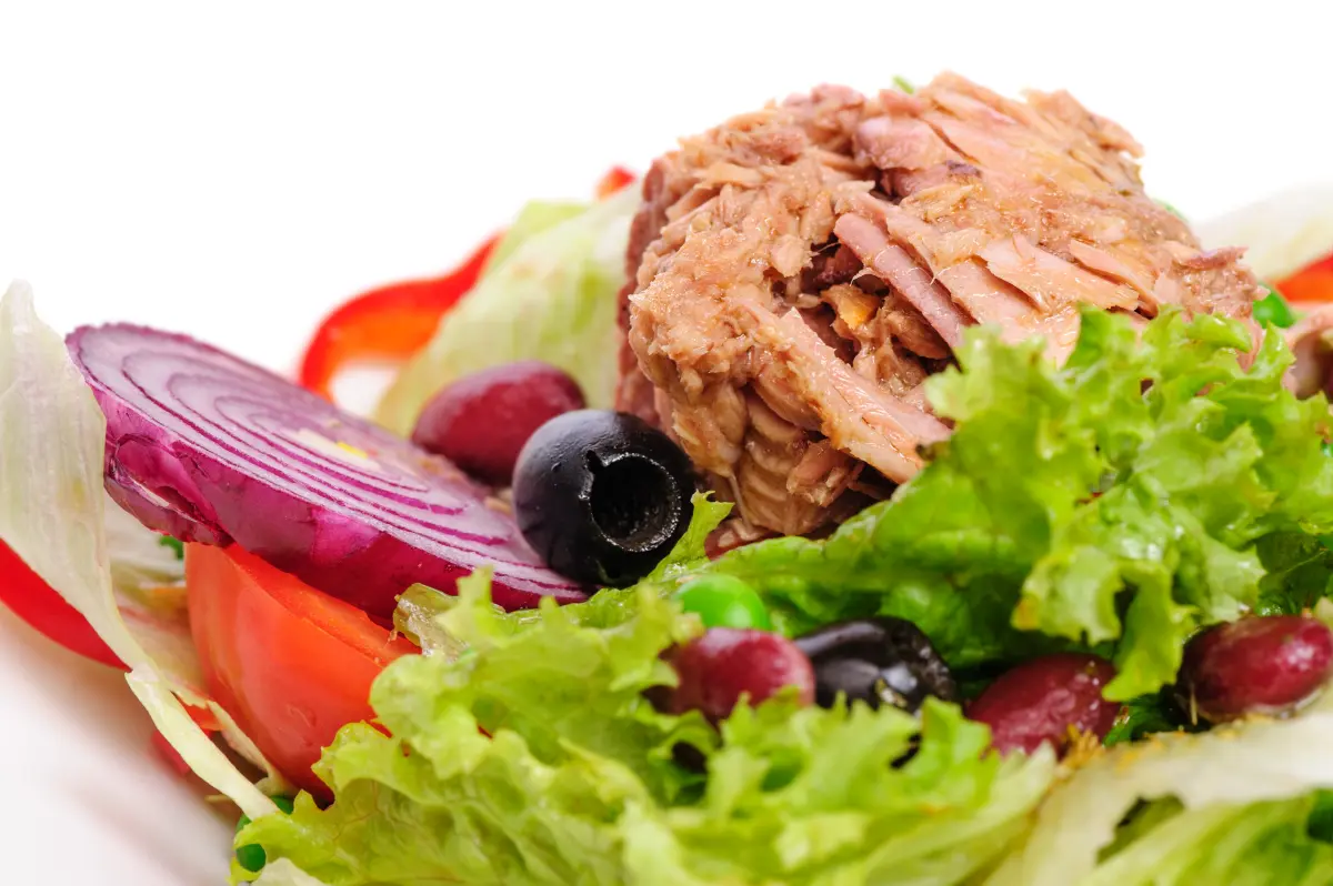 Thunfisch_Salat_rote_Zwiebel_Bohne_Tomate_Erbse