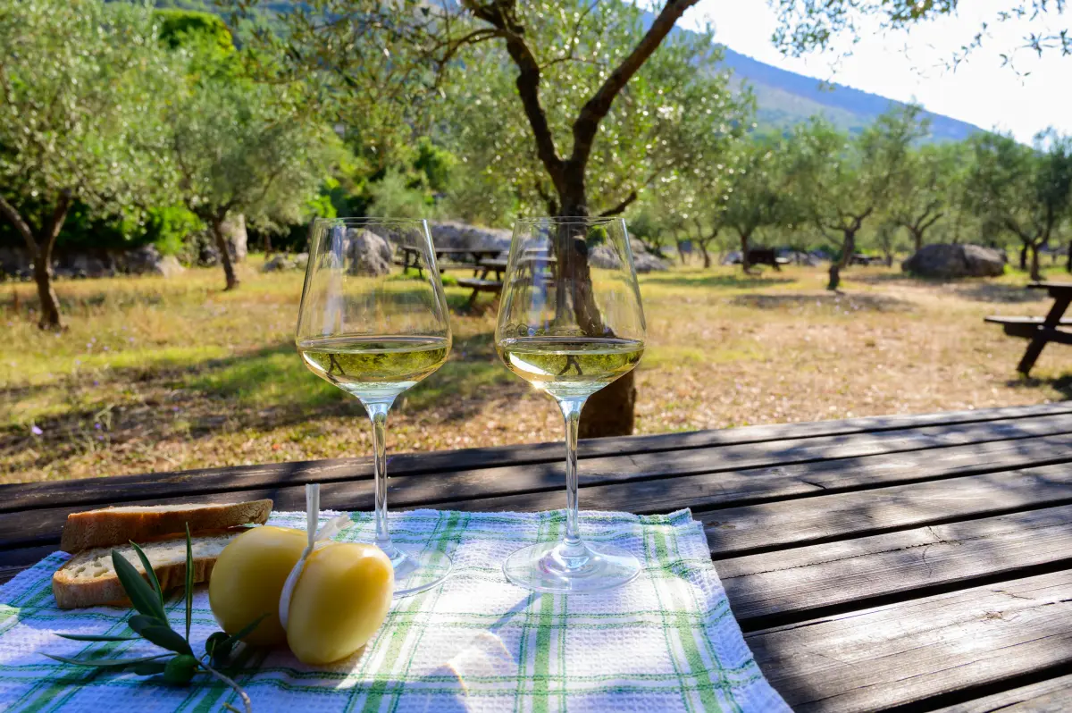 trebbiano_abruzzo_natur_sommerpicknick_weisswein
